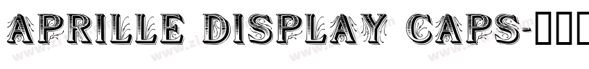 Aprille Display Caps字体转换